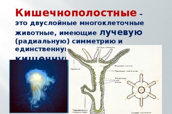 Кракен тор krakens13 at