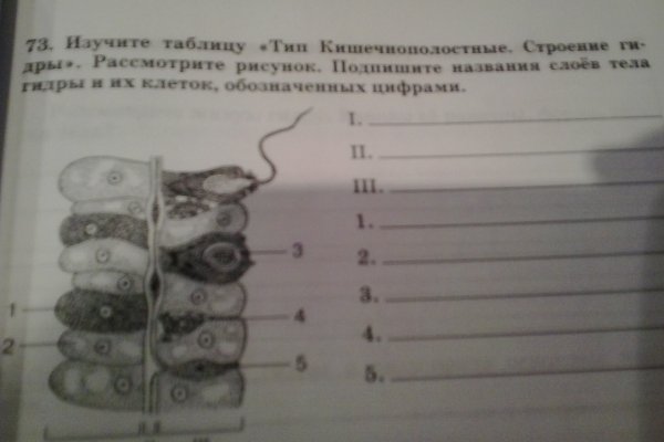 Кракен даркнет зеркало пв