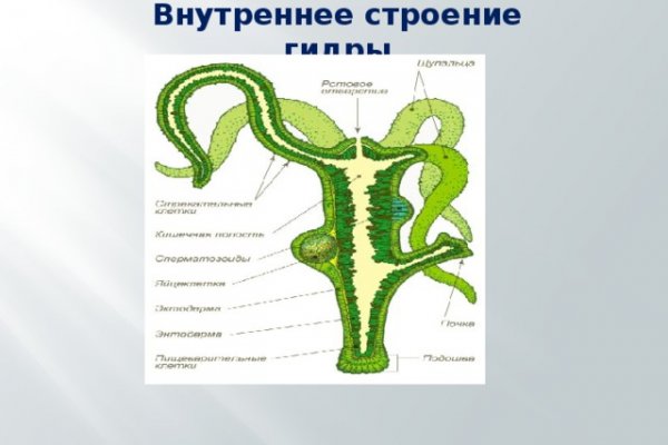 Кракен даркнет рабочая