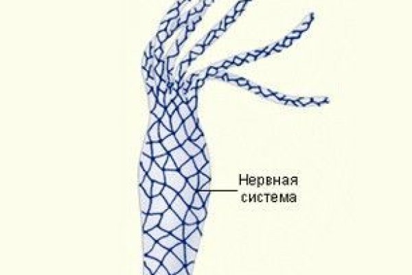 Kraken рабочая ссылка 2025